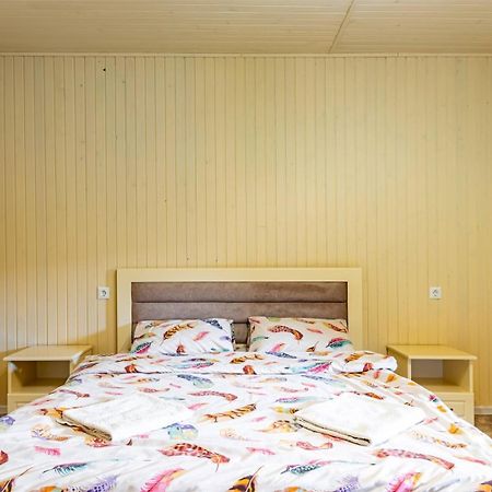 Nikoletta Hotel Aknaszlatina Kültér fotó